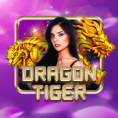 Dragon Tiger on Lucky Calico