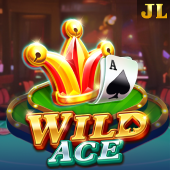Wild Ace on Lucky Calico